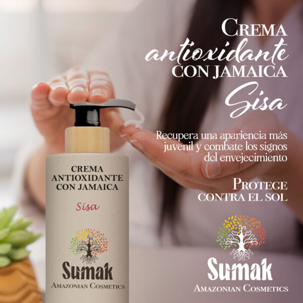 Sisa